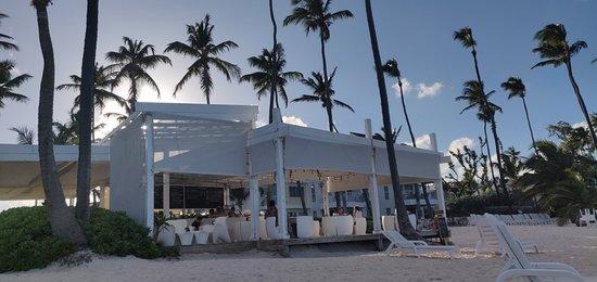 best 10 Restaurants in Punta Cana