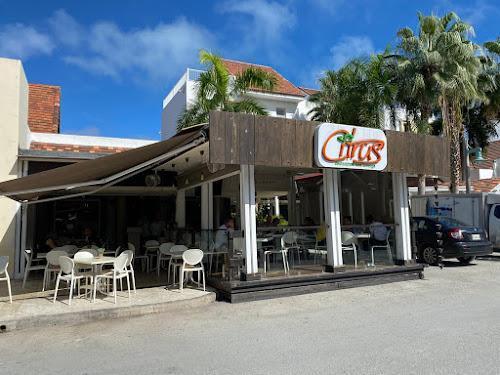 best 10 Restaurants in Punta Cana